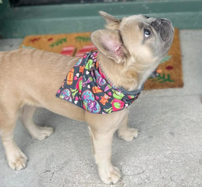 Tie on Dog Bandana